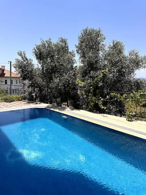 Oktapolis Villa Dalaman 0*,  Türkiye